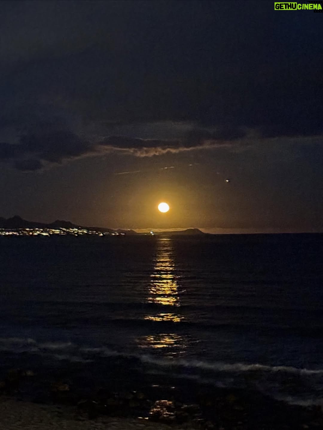 Litzy - 26.4K Likes - Noche de Luna Lobo 🌕 

desde @pescaditobreak
