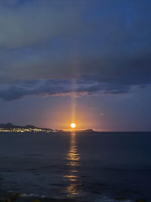 Litzy Instagram - Noche de Luna Lobo 🌕 

desde @pescaditobreak