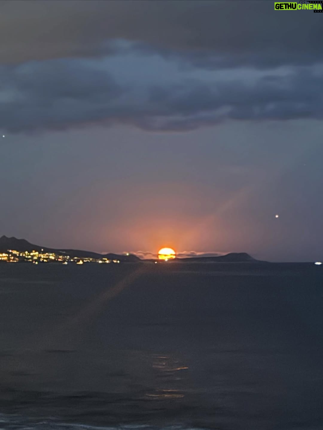 Litzy - 26.4K Likes - Noche de Luna Lobo 🌕 

desde @pescaditobreak