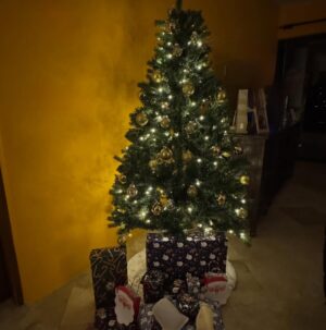 Litzy Instagram - Increíble primera Navidad en nuestra casa hasta el amanecer literal. 

Felicidad total en mi corazón. 💛 

Les deseo a todos siempre amor, paz, luz y magia en sus vidas. No hay más! ✨🙏🏼🎄❣️