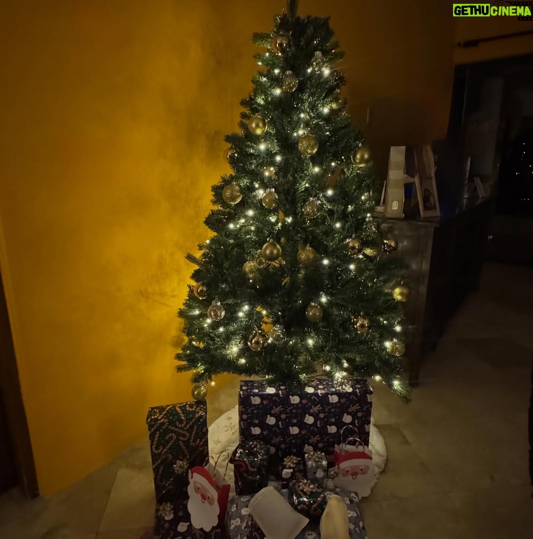 Litzy - 24K Likes - Increíble primera Navidad en nuestra casa hasta el amanecer literal. 

Felicidad total en mi corazón. 💛 

Les deseo a todos siempre amor, paz, luz y magia en sus vidas. No hay más! ✨🙏🏼🎄❣️