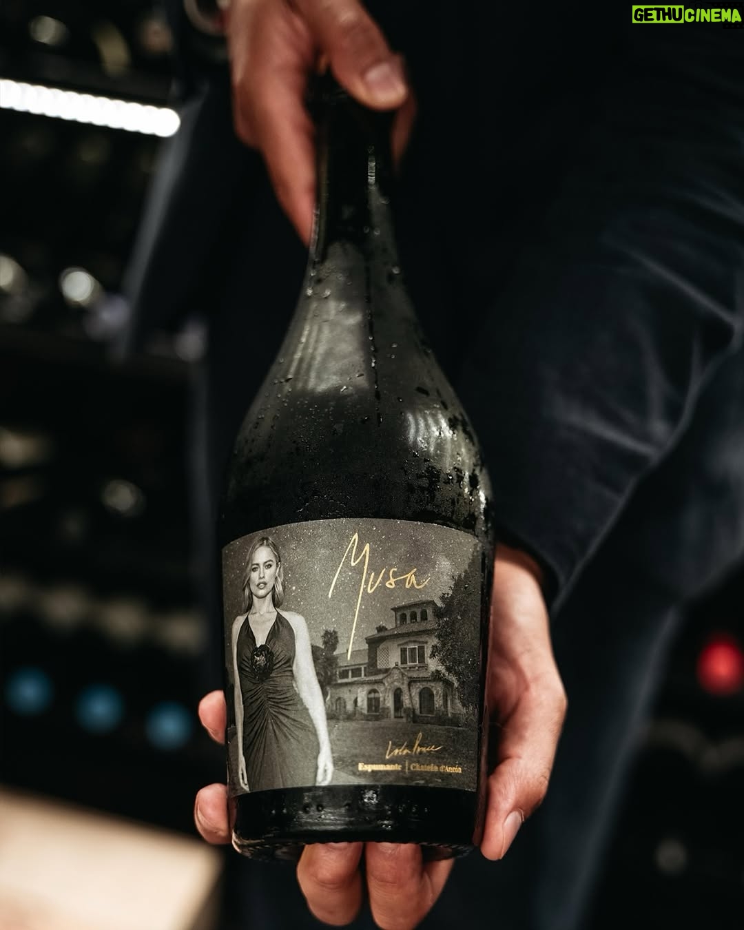 Lola Ponce - 165 Likes - Un incontro tra arte, terra e passione. Dal cuore della Valle de Uco nasce «Musa Lola Ponce by Chateau d’Ancon», la visione condivisa di @lolaponce con gli enologi @juampimiche ed @emi.turano. Un Brut Nature e un Sauvignon Blanc che raccontano il carattere di un terroir unico, con l’anima argentina. 
Da oggi, puoi assaporarli nei ristoranti El Porteño.
 
A meeting of art, land, and passion.From the heart of Valle de Uco comes «Musa Lola Ponce by Chateau d’Ancon», — the shared vision of Lola Ponce with winemakers Juan Pablo Michelini and Emiliano Turano Ochoa. A Brut Nature and a Sauvignon Blanc that capture the essence of a unique terroir, with a true Argentine soul.
Starting today, you can savor them at El Porteño restaurants.