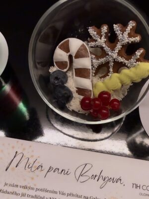 Lucie Borhyová Instagram - Advent je o krásných malých okamžicích,
které se dějí tak nějak mezi tím vším…
Přeji vám hezký večer při 4. adventní neděli 🕯️
a pokojné dny před nejkrásnějšími svátky v roce✨