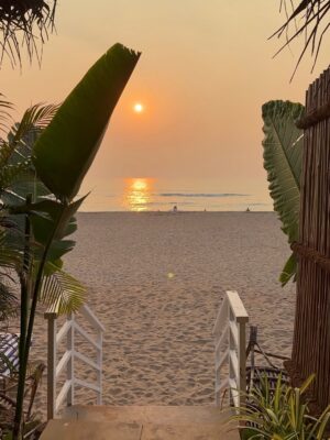 Luckii Instagram - Agonda Beach is honestly one of the most beautiful beaches in Goa 🌊
Whenever I’m in South Goa.. I always make sure to stay here because it feels like my own little peaceful escape from the world☀️🥥🐟🌴
The beach is so clean and less crowded.. perfect for slow mornings, long walks by the shore and those quiet sunset moments that just feel unreal 🌅
What I love the most is how pretty the stays are here.. cozy and literally right on the beach 👙
Waking up to the sound of the waves, stepping out and seeing the ocean in front of you.. it’s such a dream🏖️