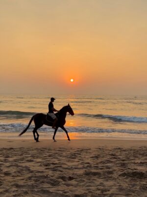 Luckii Instagram - Agonda Beach is honestly one of the most beautiful beaches in Goa 🌊
Whenever I’m in South Goa.. I always make sure to stay here because it feels like my own little peaceful escape from the world☀️🥥🐟🌴
The beach is so clean and less crowded.. perfect for slow mornings, long walks by the shore and those quiet sunset moments that just feel unreal 🌅
What I love the most is how pretty the stays are here.. cozy and literally right on the beach 👙
Waking up to the sound of the waves, stepping out and seeing the ocean in front of you.. it’s such a dream🏖️