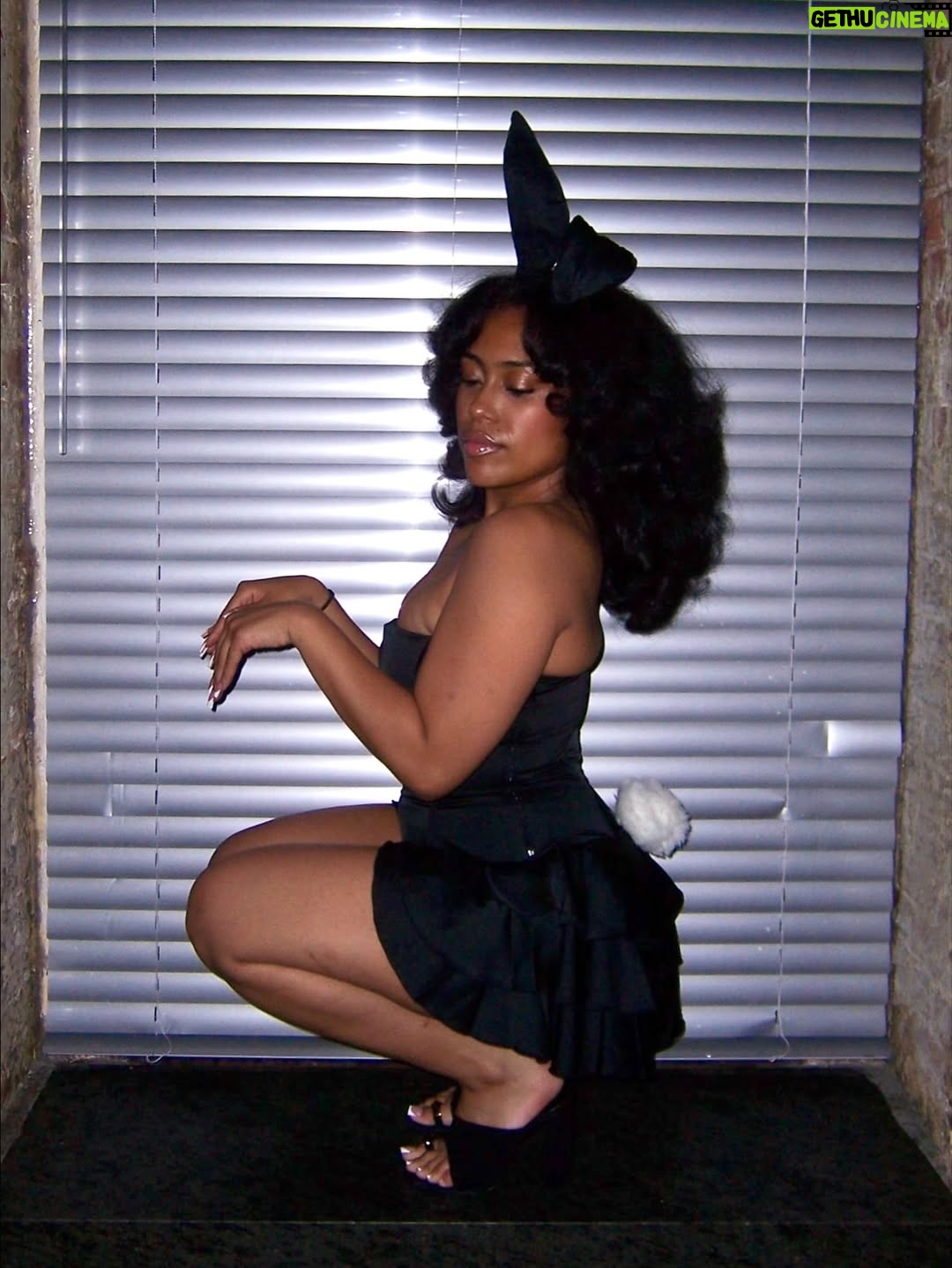 MALAYA - 10.1K Likes - Happy Halloween 🐇
