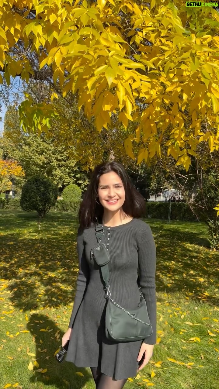 Madiha Imam - 18.4K Likes - I just had to 🍂