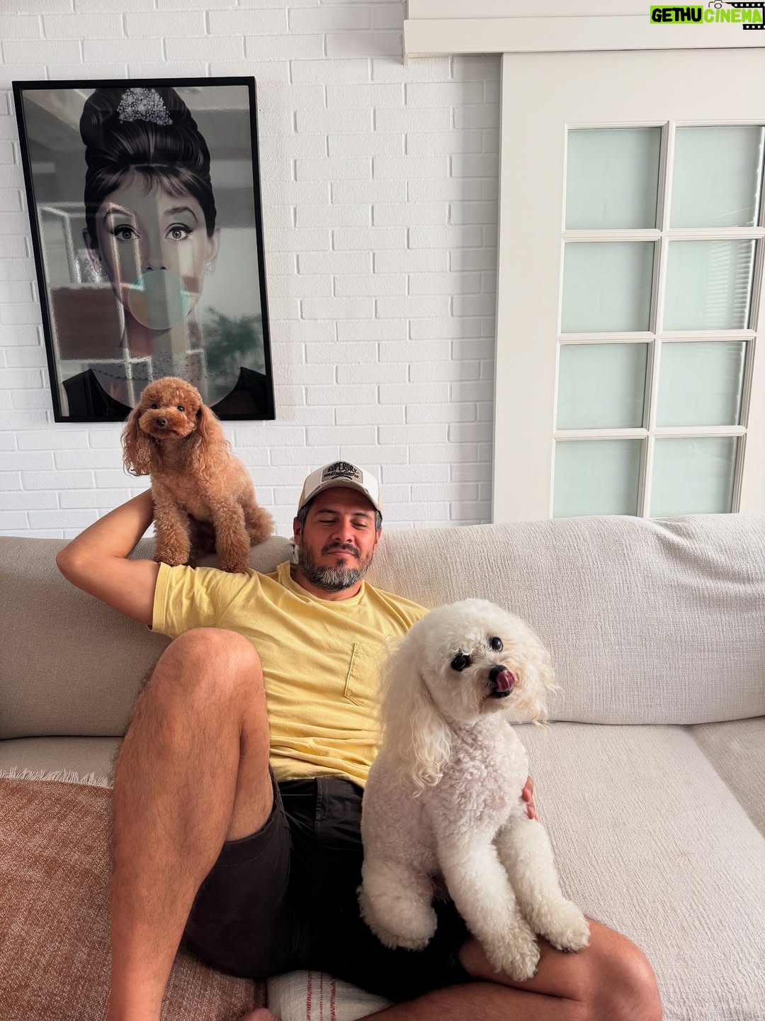 Magdyel Ugaz - 3.6K Likes - Hoy es el día de mis ñiños🐕🤍
Mis bebés perrunos , mis compañeritos , mis cómplices 
Mi hogar 🏠
Los amoooooo tanto ♥️