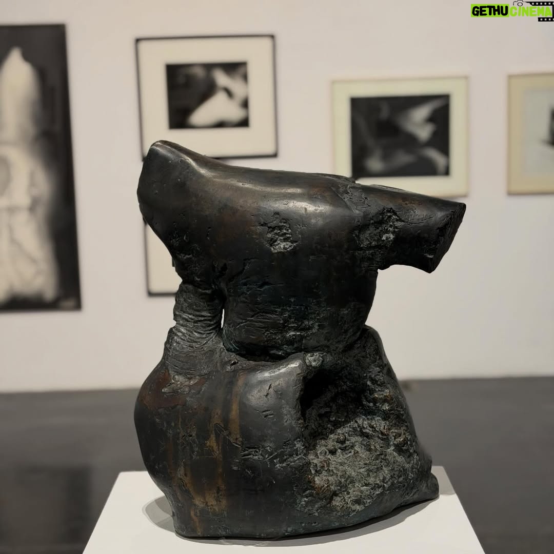 Maja Ostaszewska - 1.6K Likes - Rzeźba mojego dziadka Tadeusza Ostaszewskiego „Siedząca” w @galeriastarmach przy okazji wspaniałej wystawy „Andrzej  Pawłowski zaprasza na urodziny (Birthday party 1925/2025)”
A skoro urodziny to przyjaciele. Wśród bliskich artyście, oprócz mojego dziadka także m. in. Jerzy Nowosielski, Jonasz Stern, Andrzej Wróblewski, Maria Jarema, Jerzy Bereś, Tadeusz Brzozowski, Teresa Rudowicz. Wspaniała wystawa! Kto w Krakowie koniecznie idźcie zobaczyć!
Starmach Gallery, Kraków ul. Węgierska 5 
Dziękuję Andrzej Starmach za oprowadzenie i moje zdjęcie z SIEDZĄCĄ. To jedna z moich ukochanych rzeźb dziadka 🖤
#Starmachgallery #andrzejpawłowski #tadeuszostaszewski 
7 listopada 2025- 30 stycznia 2026 
Kurator Robert Domżalski
Wystawie towarzyszy pięknie wydany przez @galeriastarmach katalog.