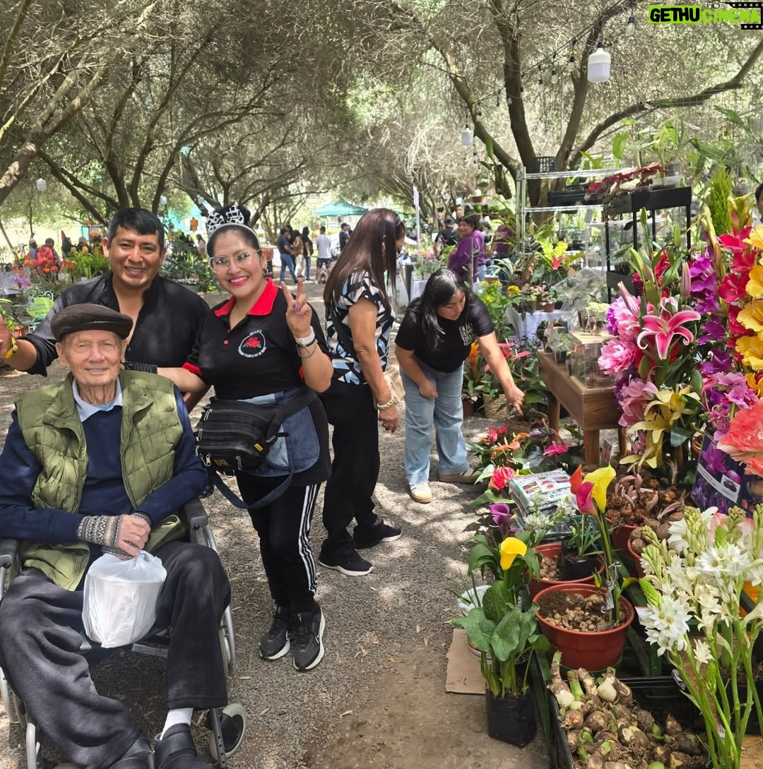 Maju Mantilla - 13.4K Likes - A mi papi le gusta mucho las flores 🌸🪴, las  plantitas, le encanta cuidarlas y sobretodo contemplarlas 🫶.  Hoy lo llevé al Primer Festival #Sumaqplantas y arrasó con todo 🤭, bueno tiene derecho a engreirse.
Aún están a tiempo de visitar el festival porque estarán hoy hasta las 7pm y mañana lunes hasta las 8pm en el Parque de la Felicidad de San Borja. 

Felicitaciones @jardintorre por este lindo proyecto 🌸🌷🌼🌻🌺🪻🪴.
