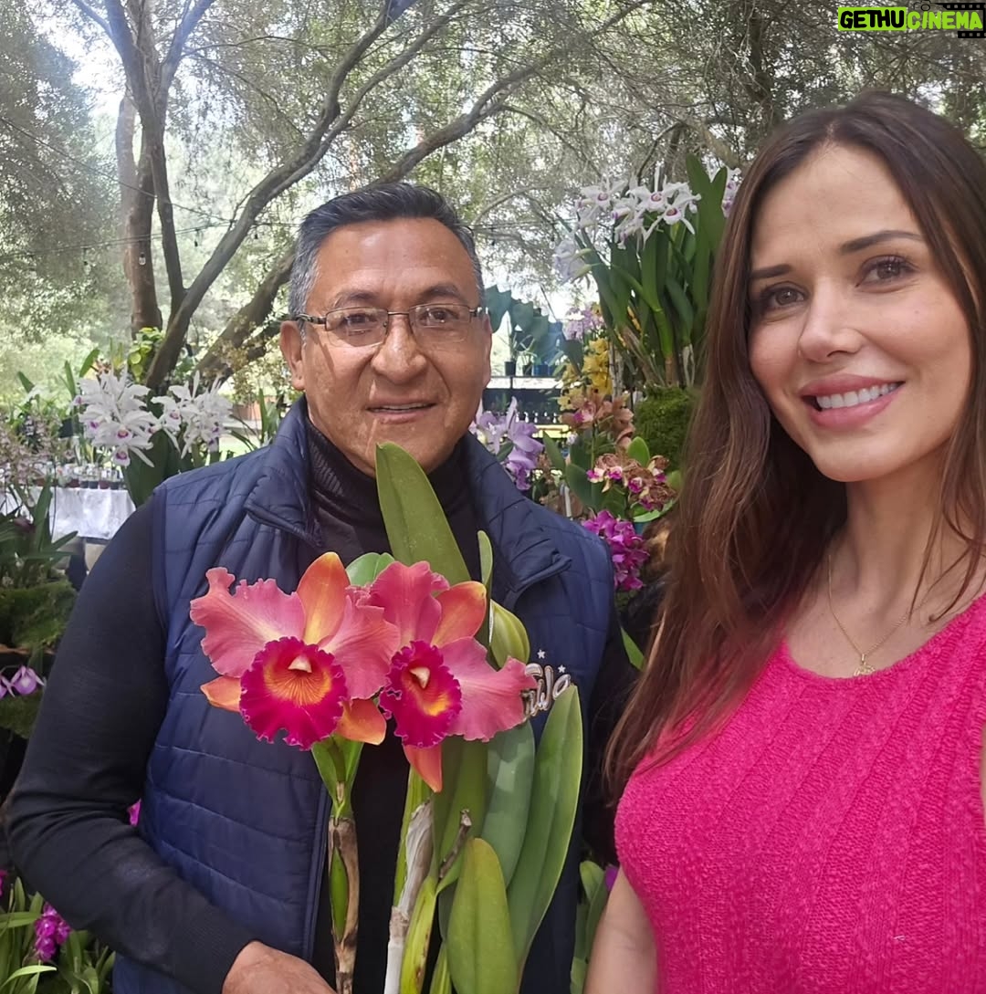 Maju Mantilla - 13.4K Likes - A mi papi le gusta mucho las flores 🌸🪴, las  plantitas, le encanta cuidarlas y sobretodo contemplarlas 🫶.  Hoy lo llevé al Primer Festival #Sumaqplantas y arrasó con todo 🤭, bueno tiene derecho a engreirse.
Aún están a tiempo de visitar el festival porque estarán hoy hasta las 7pm y mañana lunes hasta las 8pm en el Parque de la Felicidad de San Borja. 

Felicitaciones @jardintorre por este lindo proyecto 🌸🌷🌼🌻🌺🪻🪴.
