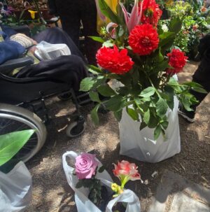 Maju Mantilla Instagram - A mi papi le gusta mucho las flores 🌸🪴, las plantitas, le encanta cuidarlas y sobretodo contemplarlas 🫶. Hoy lo llevé al Primer Festival #Sumaqplantas y arrasó con todo 🤭, bueno tiene derecho a engreirse.
Aún están a tiempo de visitar el festival porque estarán hoy hasta las 7pm y mañana lunes hasta las 8pm en el Parque de la Felicidad de San Borja.
Felicitaciones @jardintorre por este lindo proyecto 🌸🌷🌼🌻🌺🪻🪴.