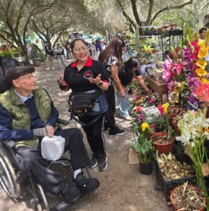 Maju Mantilla Instagram - A mi papi le gusta mucho las flores 🌸🪴, las plantitas, le encanta cuidarlas y sobretodo contemplarlas 🫶. Hoy lo llevé al Primer Festival #Sumaqplantas y arrasó con todo 🤭, bueno tiene derecho a engreirse.
Aún están a tiempo de visitar el festival porque estarán hoy hasta las 7pm y mañana lunes hasta las 8pm en el Parque de la Felicidad de San Borja.
Felicitaciones @jardintorre por este lindo proyecto 🌸🌷🌼🌻🌺🪻🪴.