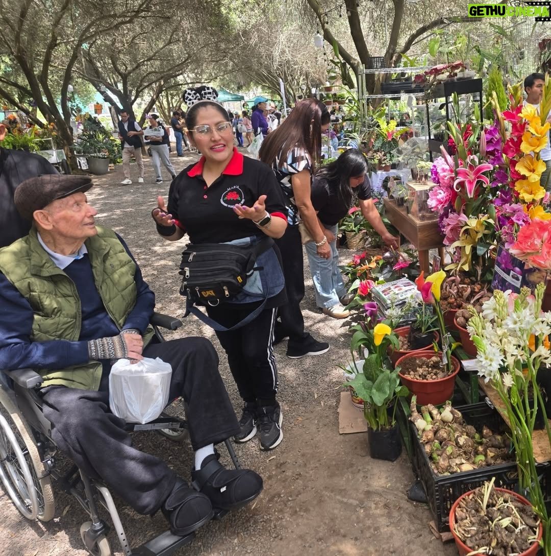 Maju Mantilla - 13.4K Likes - A mi papi le gusta mucho las flores 🌸🪴, las  plantitas, le encanta cuidarlas y sobretodo contemplarlas 🫶.  Hoy lo llevé al Primer Festival #Sumaqplantas y arrasó con todo 🤭, bueno tiene derecho a engreirse.
Aún están a tiempo de visitar el festival porque estarán hoy hasta las 7pm y mañana lunes hasta las 8pm en el Parque de la Felicidad de San Borja. 

Felicitaciones @jardintorre por este lindo proyecto 🌸🌷🌼🌻🌺🪻🪴.