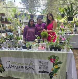 Maju Mantilla Instagram - A mi papi le gusta mucho las flores 🌸🪴, las plantitas, le encanta cuidarlas y sobretodo contemplarlas 🫶. Hoy lo llevé al Primer Festival #Sumaqplantas y arrasó con todo 🤭, bueno tiene derecho a engreirse.
Aún están a tiempo de visitar el festival porque estarán hoy hasta las 7pm y mañana lunes hasta las 8pm en el Parque de la Felicidad de San Borja.
Felicitaciones @jardintorre por este lindo proyecto 🌸🌷🌼🌻🌺🪻🪴.