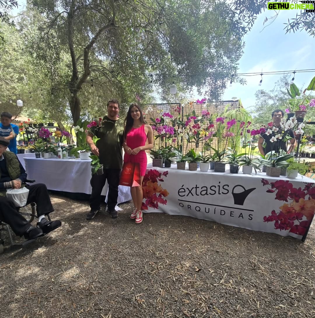 Maju Mantilla - 13.4K Likes - A mi papi le gusta mucho las flores 🌸🪴, las  plantitas, le encanta cuidarlas y sobretodo contemplarlas 🫶.  Hoy lo llevé al Primer Festival #Sumaqplantas y arrasó con todo 🤭, bueno tiene derecho a engreirse.
Aún están a tiempo de visitar el festival porque estarán hoy hasta las 7pm y mañana lunes hasta las 8pm en el Parque de la Felicidad de San Borja. 

Felicitaciones @jardintorre por este lindo proyecto 🌸🌷🌼🌻🌺🪻🪴.
