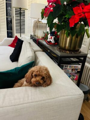 Malgorzata Socha Instagram - Drugi dzień Świąt🎄🎄🎄Bez pośpiechu, bez planu. Wspólny czas, domowe rozmowy i chwile, które zostają na długo❤️
Życzę Wam jeszcze więcej spokoju — na te dni i na wszystko, co przed nami 🎄✨ Wesołych Świąt 🎄