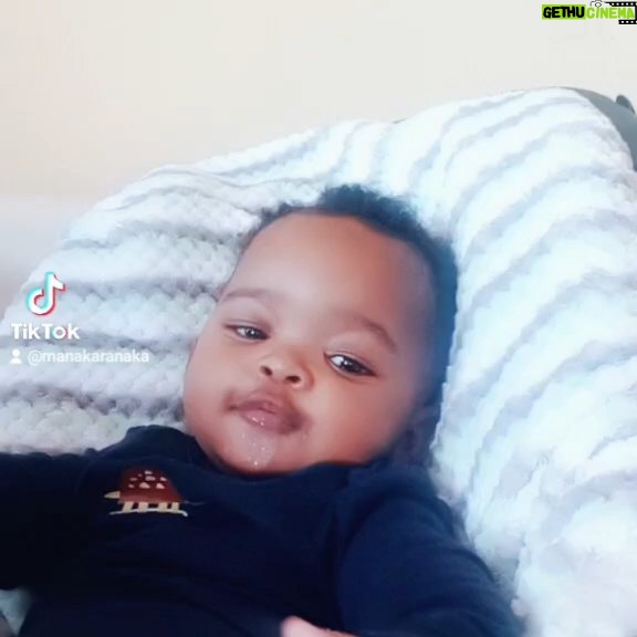 Manaka Ranaka - 11.1K Likes - introducing... 🥁🥁🥁🥁🥁 #BabyDragon #Seni #Fy #Fyp #MomsOfTikTok #BabiesOfTikTok We are 6months old today #DCBaby #Sagittarius #MomsOfInstagram #BabiesOfInstagram