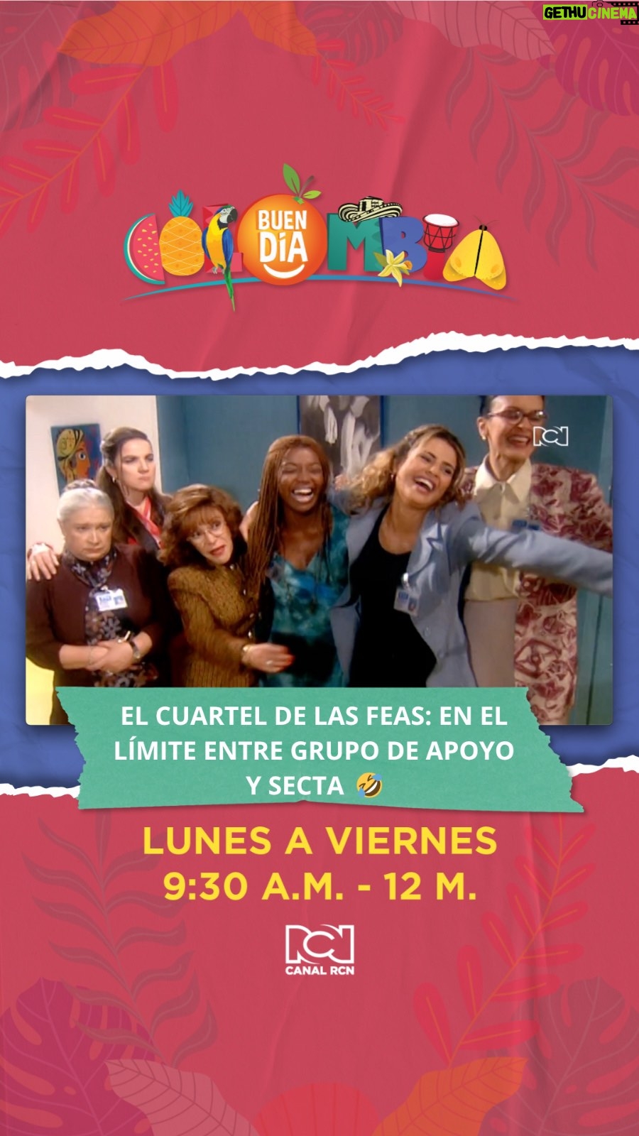 Marcela Posada - 2K Likes - El cuartel de las feas: en el límite entre grupo de apoyo y secta 🤣

#EnLaVidaDe habló con el grupo de “feas” más querido por los colombianos ❤️ Así fue para sus integrantes, hacer parte de las amigas de Betty, en la novel más icónica de la televisión en Colombia 📺

Si te perdiste este u otro capítulo de #EnLaVidaDe repítelo en la app de Canal RCN 📲 Nuevas emisiones en Buen día Colombia de lunes a viernes desde las 9:30 a.m. ⏰