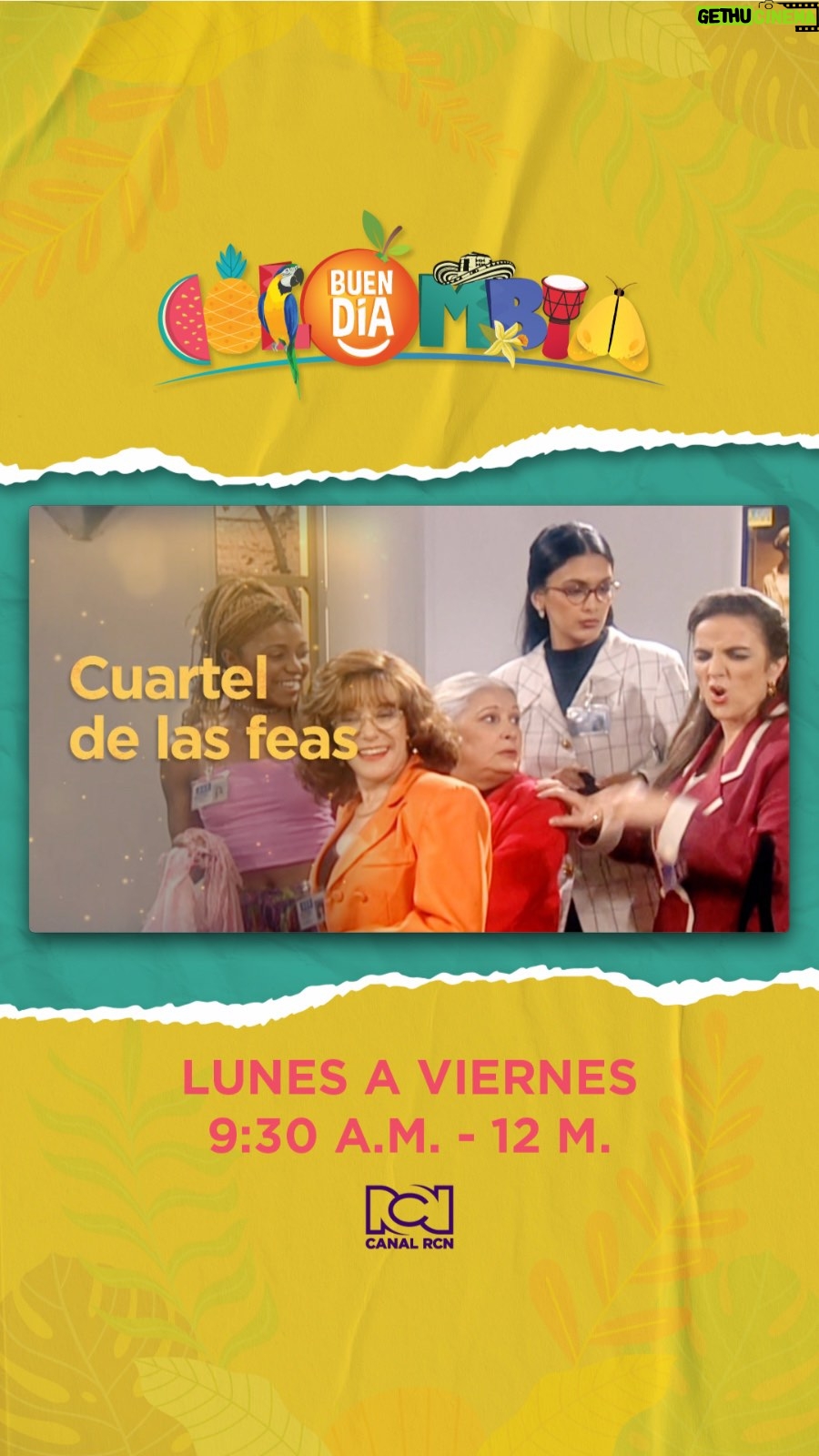 Marcela Posada - 2K Likes - En la vida de El cuartel de las feas 📺✨

Este martes 30 de septiembre no te puedes perder una nueva emisión de En la vida de ❤️ Junto al combo de chismosas más queridas por los colombianos, recorremos cómo fue el detrás de cámaras de Betty, La fea, hace 25 años 😍

Te esperamos en Buen día Colombia, desde las 9:30 a.m. ⏰

#EnLaVidaDe 🎥