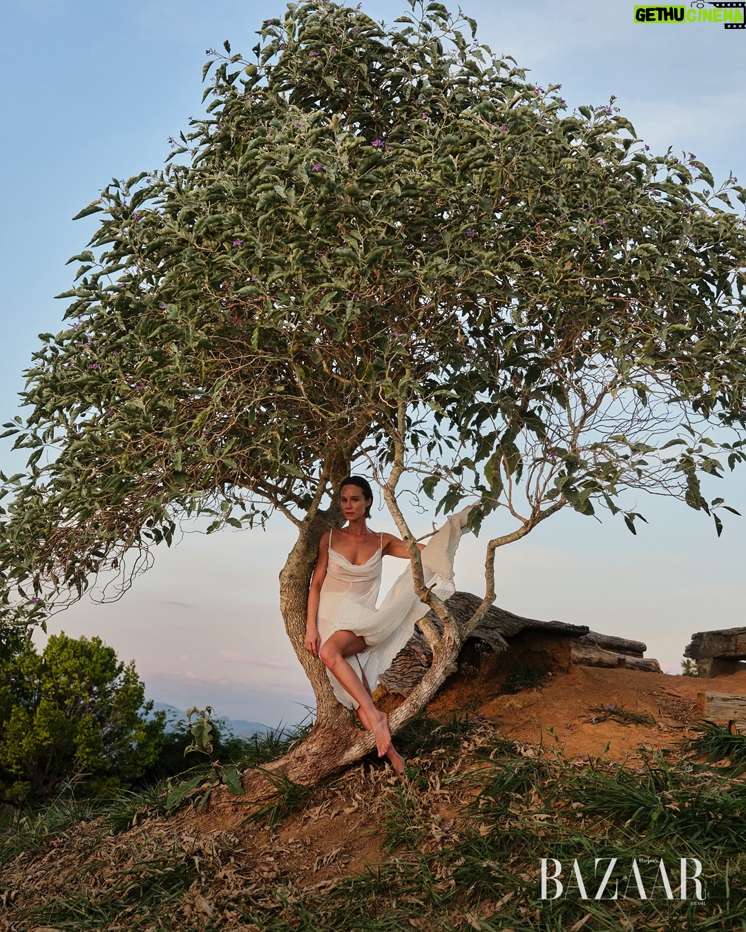 Mariana Ximenes - 1.4K Likes - Capa da #BAZAAROutubro, @marianaximenes se une ao legado de Lélia e Sebastião Salgado para transformar consciência ambiental em ação. Entre as árvores do Instituto Terra, onde uma fazenda degradada virou floresta viva, a atriz reencontra suas raízes e reflete sobre o poder da regeneração, O editorial exclusivo clicado em meio à vegetação renascida do Vale do Rio Doce, é um gesto de amor à natureza e à arte, e mostra uma Mariana mais conectada, inteira e militante.

Leia a matéria completa no site da BAZAAR e descubra como moda, ativismo e afeto se entrelaçam nessa história de recomeço. #MarianaXimenesNaBAZAAR
***
Fotografia: @josefinabietti
Styling: @carlosesser
Beleza: @casagrandegui
Texto: @alefarah
Direção de arte: @ykleinmori
Retouch: @gpretouching
Assistente de foto: @marinanajjar
Assistente de beleza: @danniquess
Agradecimento especial: Instituto Terra, Lélia Salgado, @juliano_r_salgado e Rodrigo Salgado
Equipe Instituto Terra: @‌quemario @carolina.sampaio Caroline Siloto, Gederson Felisberto da Silva (Dedi), Marcos Garcia Lopes (Marquinhos), Moisés Marcelino (@viveiroeconativas), Heriklis Douglas, @jovanderpito e Victoria Pimenta