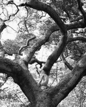 Mariana Ximenes Instagram - Honrada e feliz por poder amplificar uma pauta tão importante e urgente: a necessidade de olharmos para o meio ambiente e regenerarmos nossa mata nativa.
Junto ao @institutoterraoficial, fundado e idealizado pela querida Lélia Wanick Salgado e por Sebastião Salgado em 1998, na fazenda que pertencia à família do fotógrafo, em Aimorés (MG), esse espaço de estudo e regeneração já plantou mais de três milhões de árvores e nos faz acreditar na transformação que nasce da consciência, da paciência e da ação com afeto.

Sustentabilidade é sobrevivência.

Precisamos cuidar de nós e de tudo que nos cerca: do ar que respiramos, da terra que nos alimenta, das árvores e das florestas que equilibram o clima e sustentam a vida. Essa consciência tem crescido em mim a cada dia.

Tive a honra de ser capa da Bazaar deste mês, ao lado de uma equipe fantástica, com imagens feitas no Instituto Terra, uma iniciativa que mostra, com resultados concretos, que é possível regenerar o que parecia perdido.
Foram recuperados mais de 700 hectares de Mata Atlântica e nascentes de mais de 150 rios.
Essa é a prova viva de que a verdadeira beleza está em restaurar o equilíbrio entre o ser humano e a natureza.

Fotografia: @josefinabietti
Styling: @carlosesser
Beleza: @casagrandegui
Texto: @alefarah
Direção de arte: @ykleinmori
Retouch: @gpretouching
Assistente de foto: @marinanajjar
Assistente de beleza: @danniquess
Agradecimento especial: Instituto Terra, Lélia Salgado, @juliano_r_salgado e Rodrigo Salgado

Equipe Instituto Terra: @_quemario_, @carol.ina_sampaio, Caroline Siloto, Gederson Felisberto da Silva (Dedi), Marcos Garcia Lopes (Marquinhos), Moisés Marcelino (@viveiroeconativas), Heriklis Douglas, @jovanderpito e Victoria Pimenta

Realização: Mariana Ximenes e Cristiano Pio de Almeida @cristiano_0901