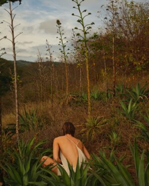 Mariana Ximenes Instagram - Honrada e feliz por poder amplificar uma pauta tão importante e urgente: a necessidade de olharmos para o meio ambiente e regenerarmos nossa mata nativa.
Junto ao @institutoterraoficial, fundado e idealizado pela querida Lélia Wanick Salgado e por Sebastião Salgado em 1998, na fazenda que pertencia à família do fotógrafo, em Aimorés (MG), esse espaço de estudo e regeneração já plantou mais de três milhões de árvores e nos faz acreditar na transformação que nasce da consciência, da paciência e da ação com afeto.

Sustentabilidade é sobrevivência.

Precisamos cuidar de nós e de tudo que nos cerca: do ar que respiramos, da terra que nos alimenta, das árvores e das florestas que equilibram o clima e sustentam a vida. Essa consciência tem crescido em mim a cada dia.

Tive a honra de ser capa da Bazaar deste mês, ao lado de uma equipe fantástica, com imagens feitas no Instituto Terra, uma iniciativa que mostra, com resultados concretos, que é possível regenerar o que parecia perdido.
Foram recuperados mais de 700 hectares de Mata Atlântica e nascentes de mais de 150 rios.
Essa é a prova viva de que a verdadeira beleza está em restaurar o equilíbrio entre o ser humano e a natureza.

Fotografia: @josefinabietti
Styling: @carlosesser
Beleza: @casagrandegui
Texto: @alefarah
Direção de arte: @ykleinmori
Retouch: @gpretouching
Assistente de foto: @marinanajjar
Assistente de beleza: @danniquess
Agradecimento especial: Instituto Terra, Lélia Salgado, @juliano_r_salgado e Rodrigo Salgado

Equipe Instituto Terra: @_quemario_, @carol.ina_sampaio, Caroline Siloto, Gederson Felisberto da Silva (Dedi), Marcos Garcia Lopes (Marquinhos), Moisés Marcelino (@viveiroeconativas), Heriklis Douglas, @jovanderpito e Victoria Pimenta

Realização: Mariana Ximenes e Cristiano Pio de Almeida @cristiano_0901
