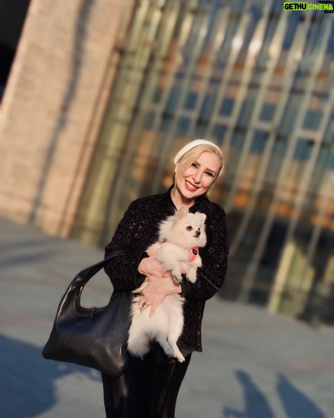 Marjaneh Golchin - 69.8K Likes - 🐶❤️
آیا می‌دانید چرا اکثر نجات‌یافتگان هولوکاست، گیاه‌خوار هستند؟
چون می‌دانند که مانند یک حیوان با شما رفتار شدن چه حسی دارد
#چاک_پالانیک

پ.ن:
این سگو به عشق یک کسی بغل کردم🐶
که سگش درست شبیه همین سگه است  اسمشم کپله❤️
اگه گفتین عشق من کیه؟🫠❤️

#با_حیوانات_مهربان_باشیم #با_طبیعت_مهربان_باشیم #با_هم_مهربان_باشیم #خشونت #گیاهخواری_نجات_زمین