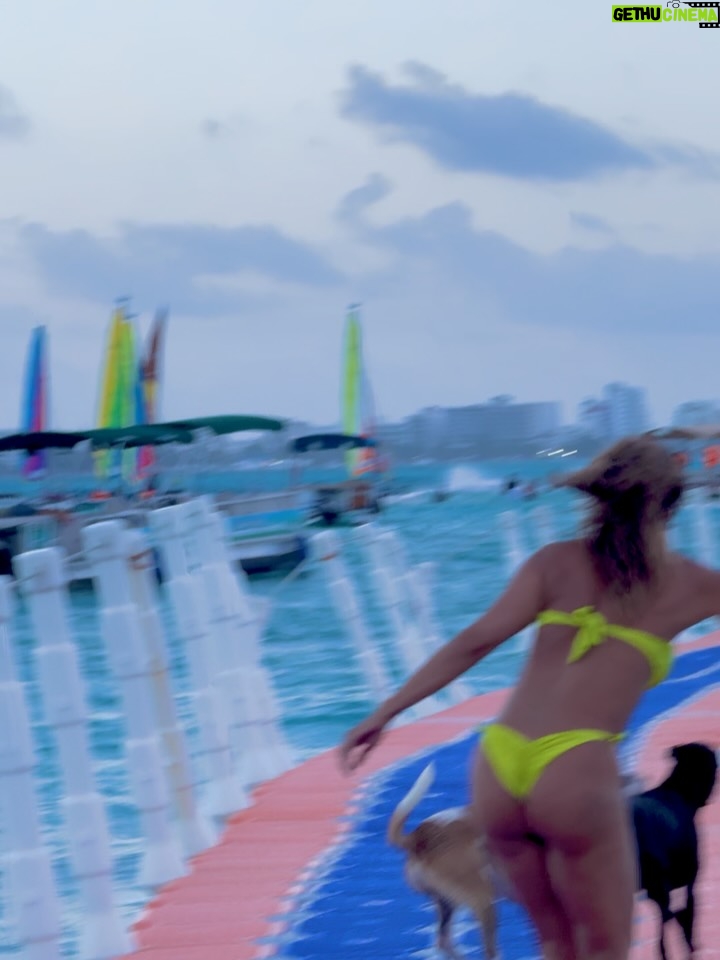 Martha Isabel Bolaños - 13.3K Likes - 🌴Que especial fue este tiempo! Es que El si que sabe sorprenderme! Hubo de todo en este paseo! 😎
👙 @dulcekatebeachwear