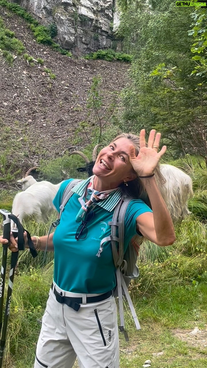Martina Colombari - 20.6K Likes - Prove di ballo tra natura e  pubblico a quattro zampe: sì, @martycolombari sarà tra le protagoniste di #BallandoConLeStelle 2025. 💫

@milly_carlucci
