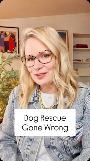 Mary Lynn Rajskub Instagram - Sherman is safe, thriving, and exactly where he needs to be. And I learned I’m a one-dog lady. 🐾

#rescuedogstory
#adoptdontshop
#dogrescuejourney
#rescuestory