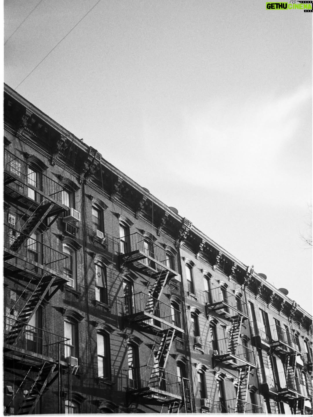 Mavournee Hazel - 415 Likes - Williamsburg, Brooklyn the week before Christmas