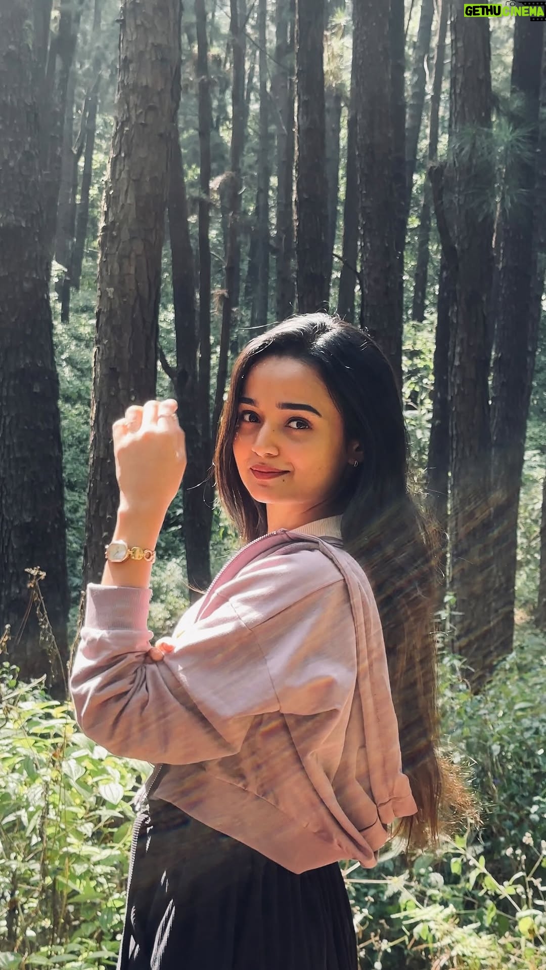 Meenakshi Anoop - 118.3K Likes - forest straight out of a dream 🦌✨

Pro editor @vishhaakh 👀