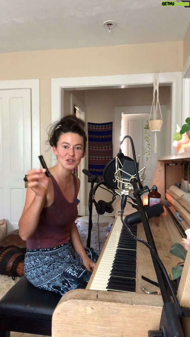 Meg Myers - 1.7K Likes - I wrote this song Edgamication years ago and am just now starting to record it! This is also the first time I’ve ever broken a piano key! Happy full moon everybody🥰
🌕🐺🎹🐾