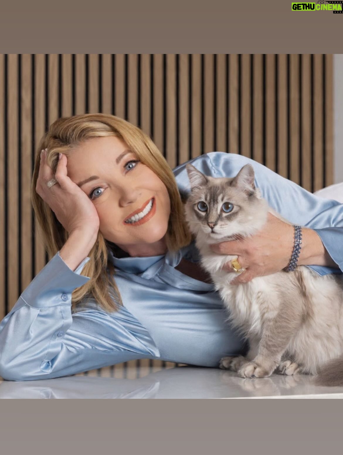 Melody Thomas Scott - 6.7K Likes - The lost little kitten we named Cashmere, who showed up on our doorstep earlier this year, has grown into her own (but not her paws). Santa must have known all I wanted for Christmas was… Cashmere 🎄🐱 #CashmereTheCat #InstagraMELable 🐾 🐱 

Photography by: @jeremyjfraser 📸
Styled by: @mandiline
