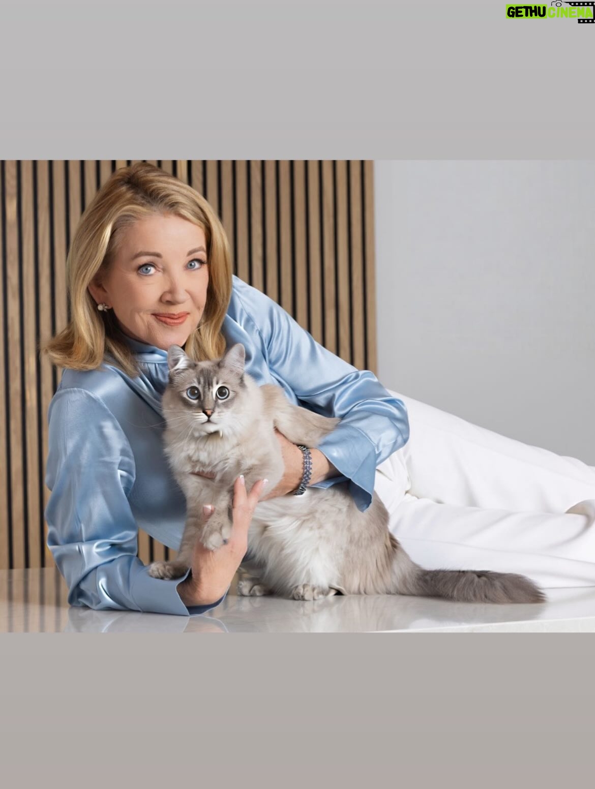 Melody Thomas Scott - 6.7K Likes - The lost little kitten we named Cashmere, who showed up on our doorstep earlier this year, has grown into her own (but not her paws). Santa must have known all I wanted for Christmas was… Cashmere 🎄🐱 #CashmereTheCat #InstagraMELable 🐾 🐱 

Photography by: @jeremyjfraser 📸
Styled by: @mandiline