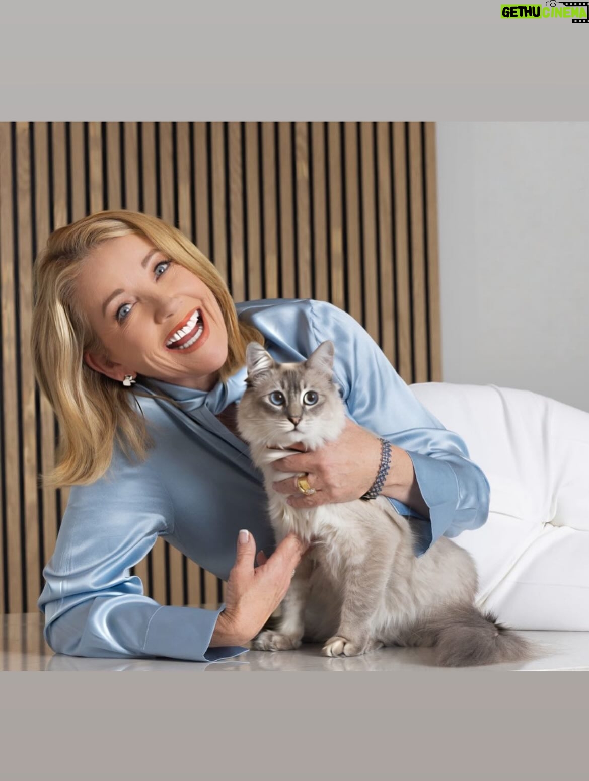 Melody Thomas Scott - 6.7K Likes - The lost little kitten we named Cashmere, who showed up on our doorstep earlier this year, has grown into her own (but not her paws). Santa must have known all I wanted for Christmas was… Cashmere 🎄🐱 #CashmereTheCat #InstagraMELable 🐾 🐱 

Photography by: @jeremyjfraser 📸
Styled by: @mandiline