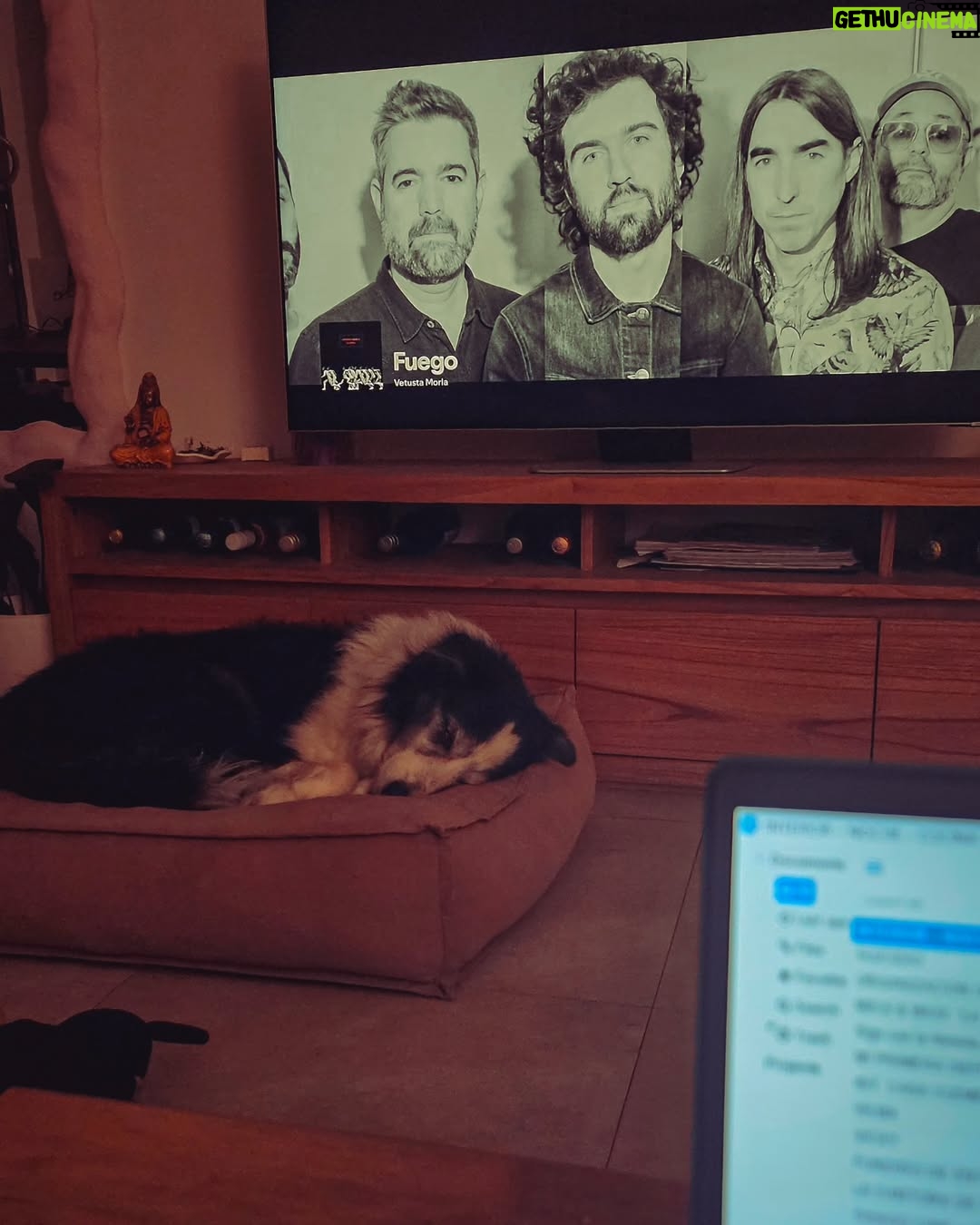 Micaela Riera - 1.9K Likes - ✨️🍷🫂🎵📝

Sacar belleza de este caos