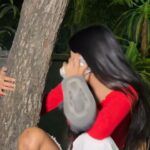 Mikku Arya