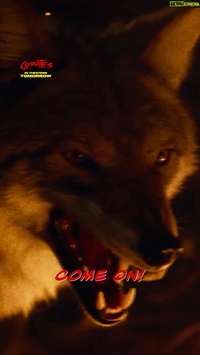 Mila Harris - 1.1K Likes - #CoyotesMovie is “savage and stylish” - @cinapse.co. Don’t miss the film starring Justin Long and Kate Bosworth in theaters tomorrow. Get tickets now: link in bio.