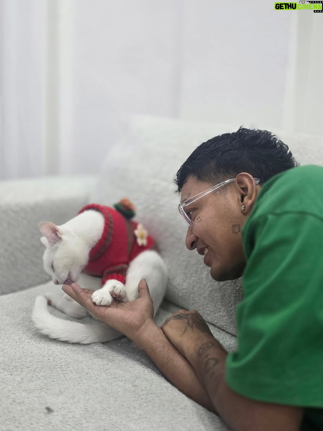 Milagros Flores - 34.3K Likes - Feliz navidad 🥰🎄cprospero año y feliz.... ✨️🎇