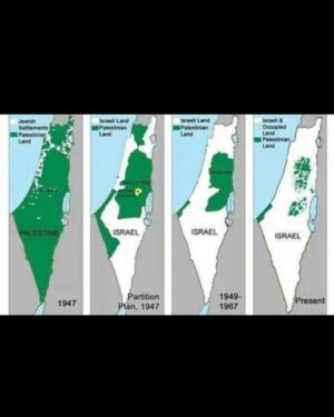 Mimi Lana Instagram - It’s not war, it’s GENOCIDE! Netanyahu you are the biggest TERRORIST the world has ever seen. We have all witnessed the mass murder and massive War Crimes committed against the Palestinians by Netanyahu! Arrest him now, end the occupation, and we need a PERMANENT CEASEFIRE NOW! Our voices will never be silenced! #freepalestine #alleyesonrafah 🇵🇸