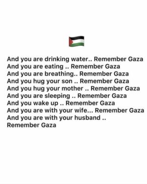 Mimi Lana Instagram - It’s not war, it’s GENOCIDE! Netanyahu you are the biggest TERRORIST the world has ever seen. We have all witnessed the mass murder and massive War Crimes committed against the Palestinians by Netanyahu! Arrest him now, end the occupation, and we need a PERMANENT CEASEFIRE NOW! Our voices will never be silenced! #freepalestine #alleyesonrafah 🇵🇸