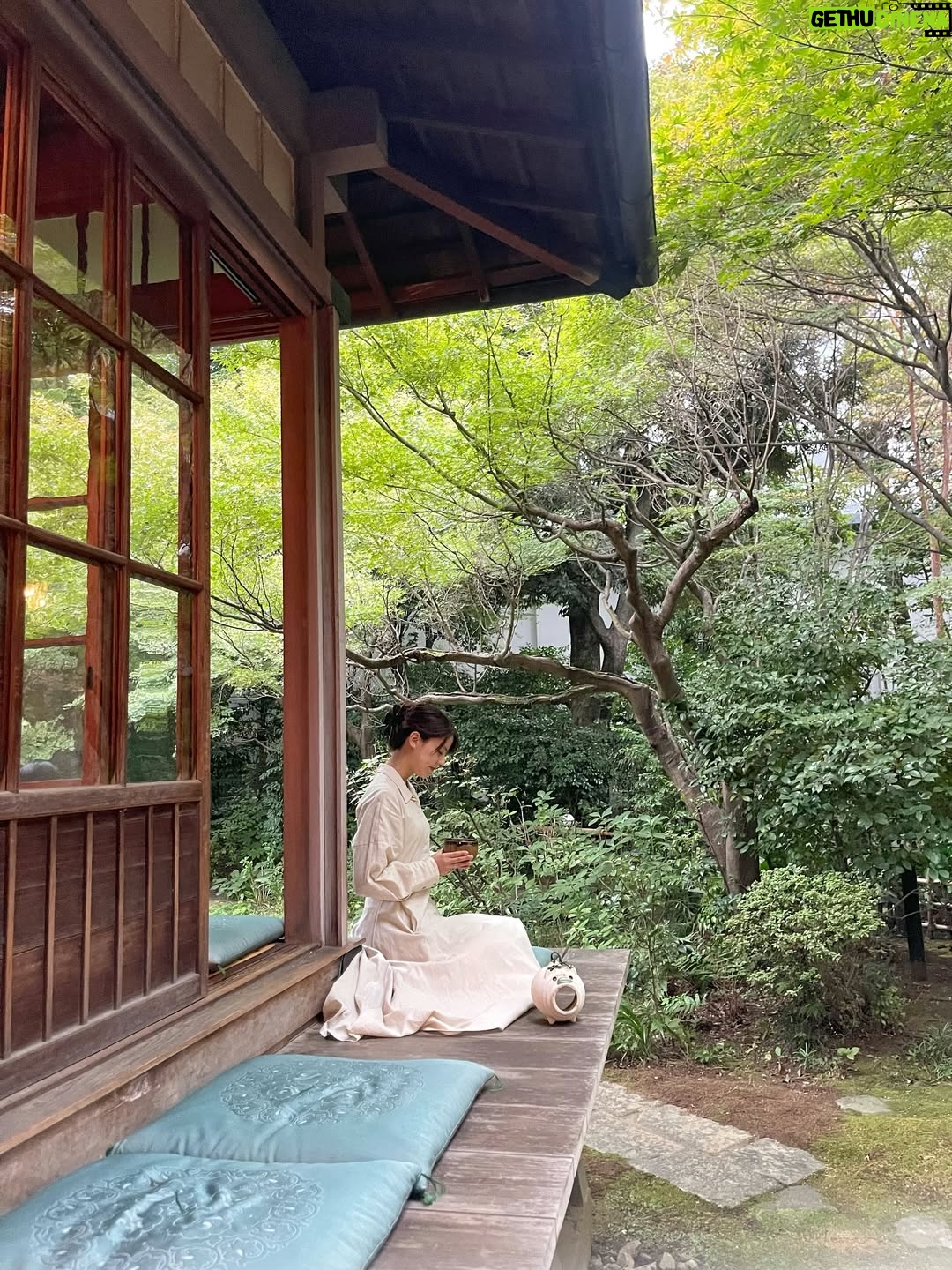 Mina Fujii - 10.9K Likes - .
最近なんだかバタバタしていて、窓の外を見ると、もう外は暗く昼が終わっていて、とそんな日々を過ごしていました。でも今日はじっくり、日差しが弱くなって、夕暮れが訪れて、夜になる。その過程を見守ることができました。
大人になると確かに1年が経つのがあっという間で、1日1日の境界線も曖昧になるようだけど。こんなふうに時間を噛み締めるような、そんな1日もたまには過ごせるように。心のゆとりを持ちたいものです🍵

요새 조금 정신 없어서 창문 밖을 보면, 이미 깜깜하고 낮이 끝나고 있는, 그런 날들을 보내고 있었는데요. 근데 오늘은 햇살이 약해지고, 오랜지 빛이 들어오고,밤이 되는. 그 과정을 지켜볼 수가 있었습니다.
어른이 되면 확실히 1년이 지나는게  순식간이고 하루하루의 경계선도 애매해지는 것 같지만.오늘처럼 시간을 소중하게 아끼면서 지내는 그런 하루를 보낼수 있게, 마음 여유를 갖고싶네요🍵

#お寺
#抹茶
#心の静けさ
