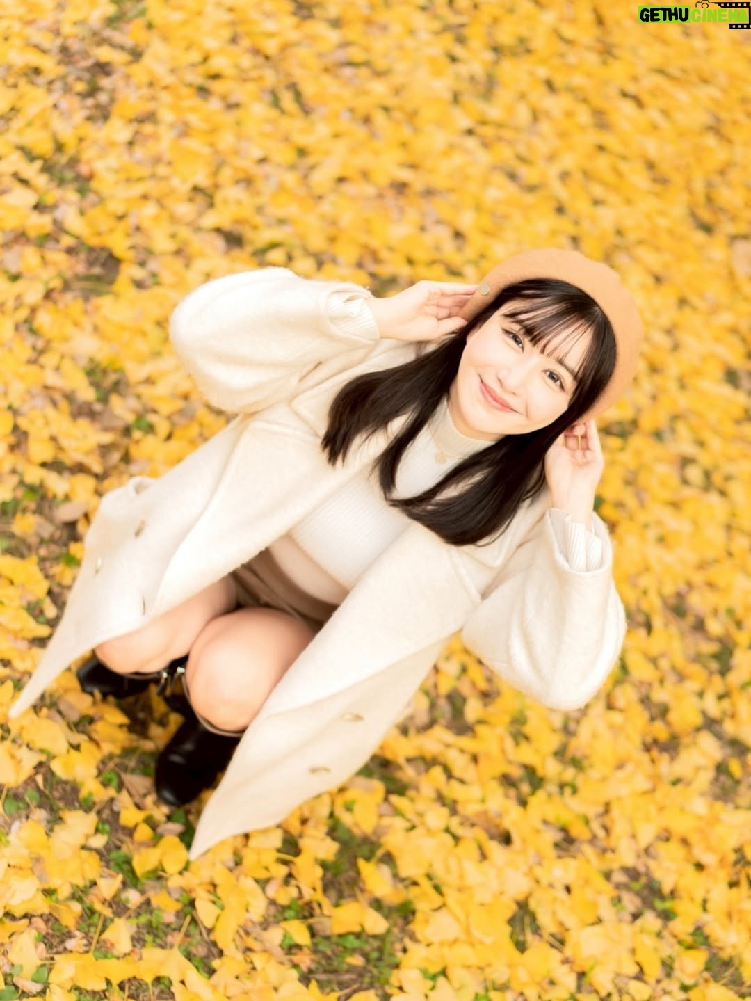 Misa Minami - 883 Likes - 紅葉🍁好き

※AIじゃないよ

📸/ @photototo.10 🍁

#撮影　#モデル