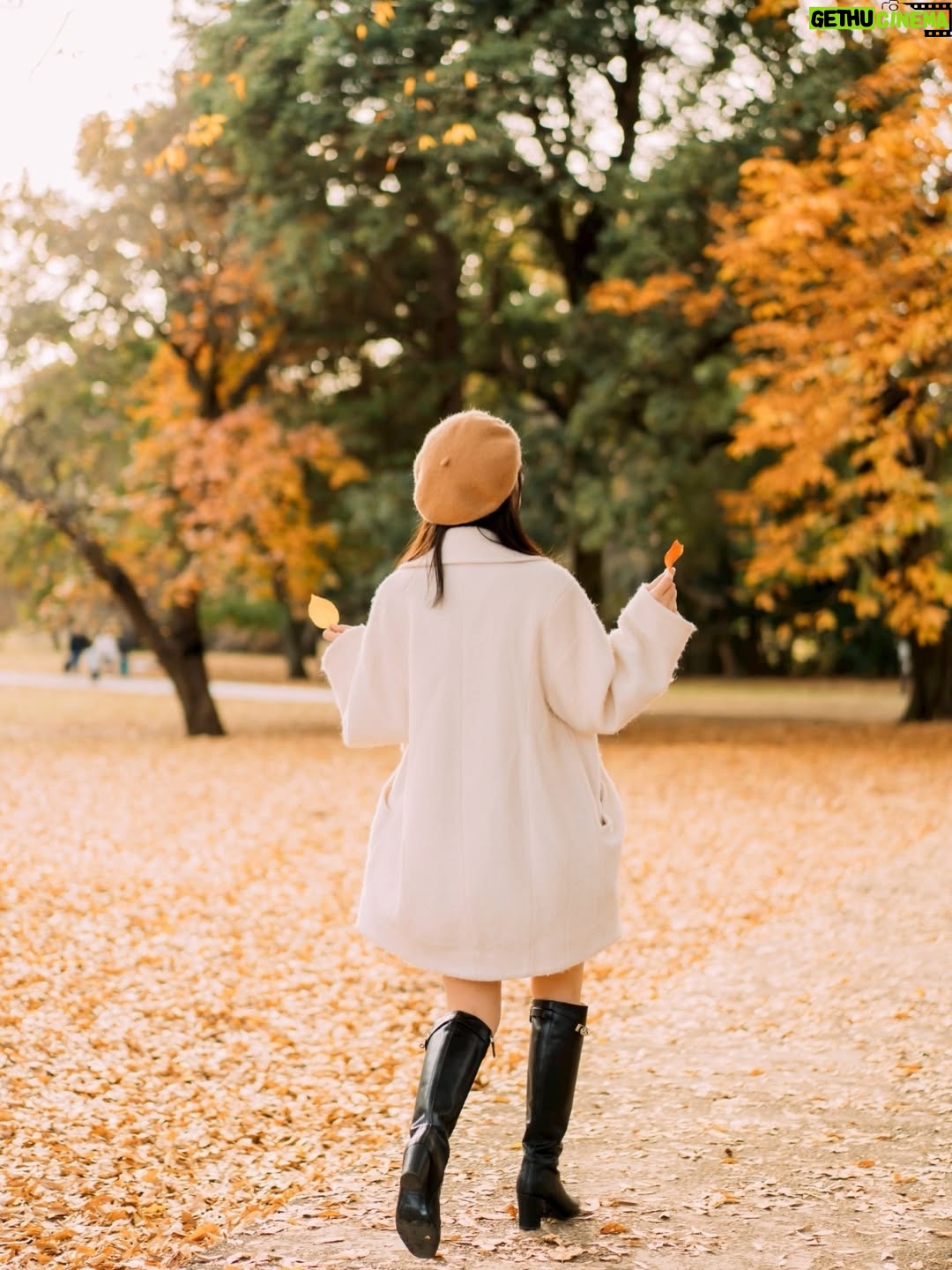 Misa Minami - 883 Likes - 紅葉🍁好き

※AIじゃないよ

📸/ @photototo.10 🍁

#撮影　#モデル