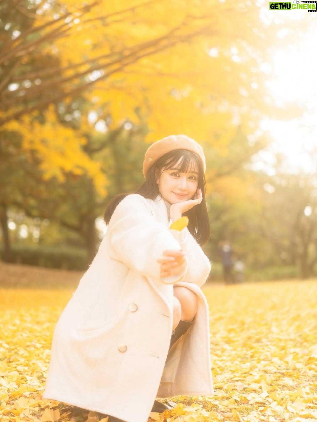 Misa Minami - 883 Likes - 紅葉🍁好き

※AIじゃないよ

📸/ @photototo.10 🍁

#撮影　#モデル