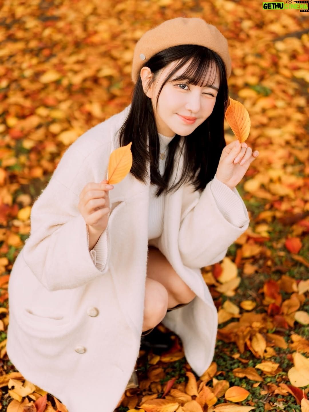 Misa Minami - 883 Likes - 紅葉🍁好き

※AIじゃないよ

📸/ @photototo.10 🍁

#撮影　#モデル