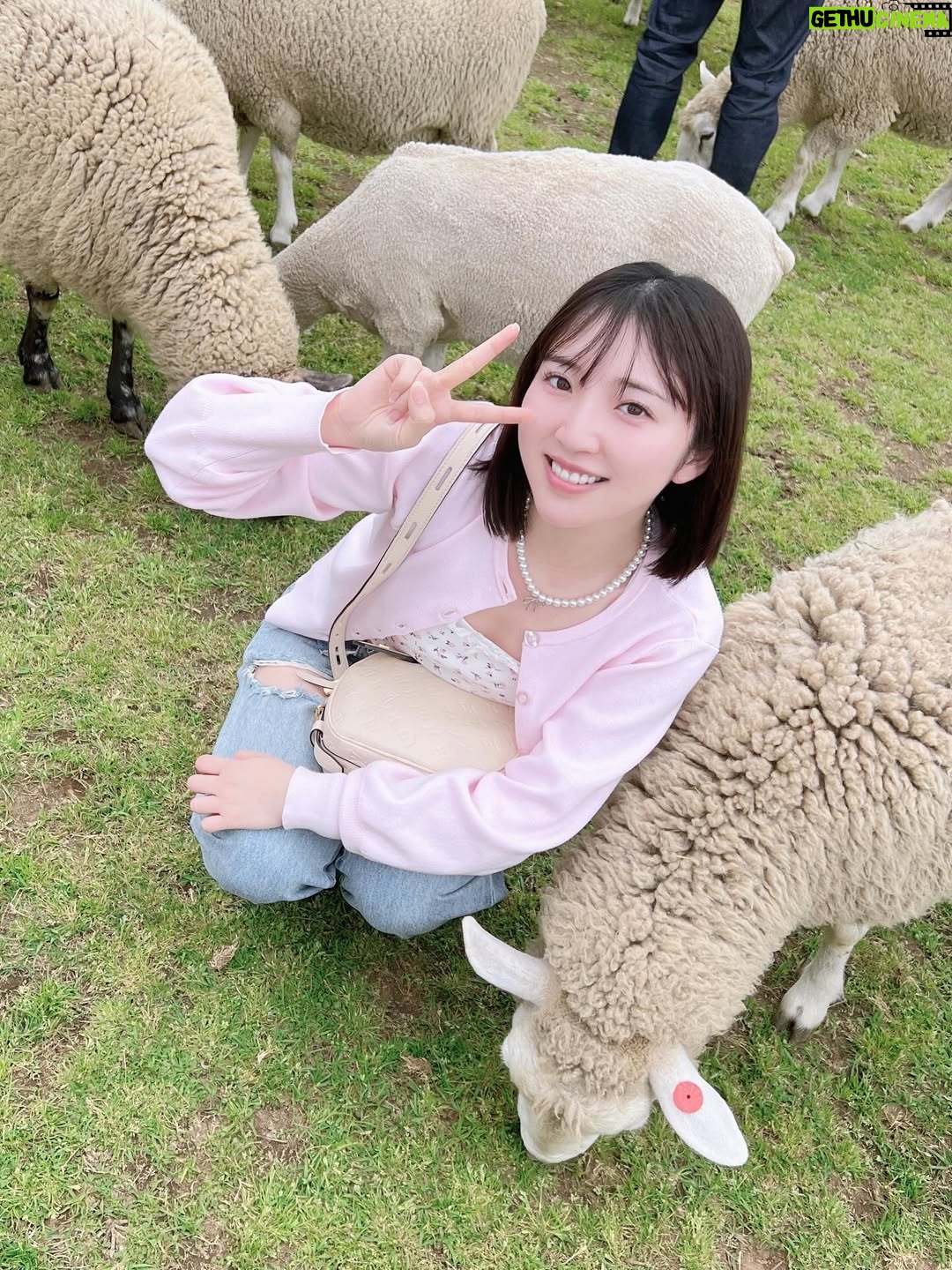 Moe Toyota - 9.5K Likes - 🎀✨

2025年Instagram載せ忘れまとめ🌞

今年も一年本当にありがとうございました🎀
なんだかんだ自分と向き合った一年でした！

みんなはどんな一年だったかな？🙂‍↕️
頑張った自分をたくさん褒めようね⭐️

来年も元気に息して行こうね〜！🫶🏻🤍

良いお年を🌞✨

#大晦日
#2025年載せ忘れ