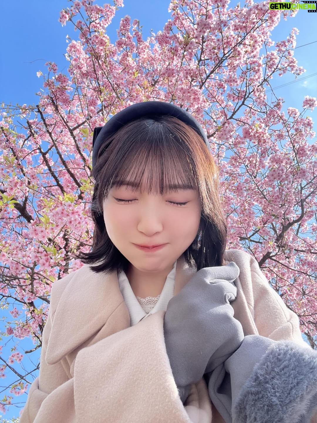 Moe Toyota - 9.5K Likes - 🎀✨

2025年Instagram載せ忘れまとめ🌞

今年も一年本当にありがとうございました🎀
なんだかんだ自分と向き合った一年でした！

みんなはどんな一年だったかな？🙂‍↕️
頑張った自分をたくさん褒めようね⭐️

来年も元気に息して行こうね〜！🫶🏻🤍

良いお年を🌞✨

#大晦日
#2025年載せ忘れ